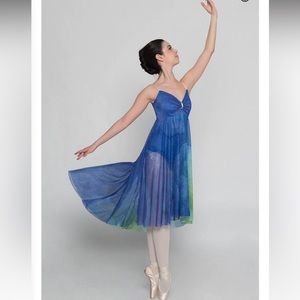 NWT AS Dance Inked Blue Watercolours Long Chiffon Dress. SF Pet friendly home.